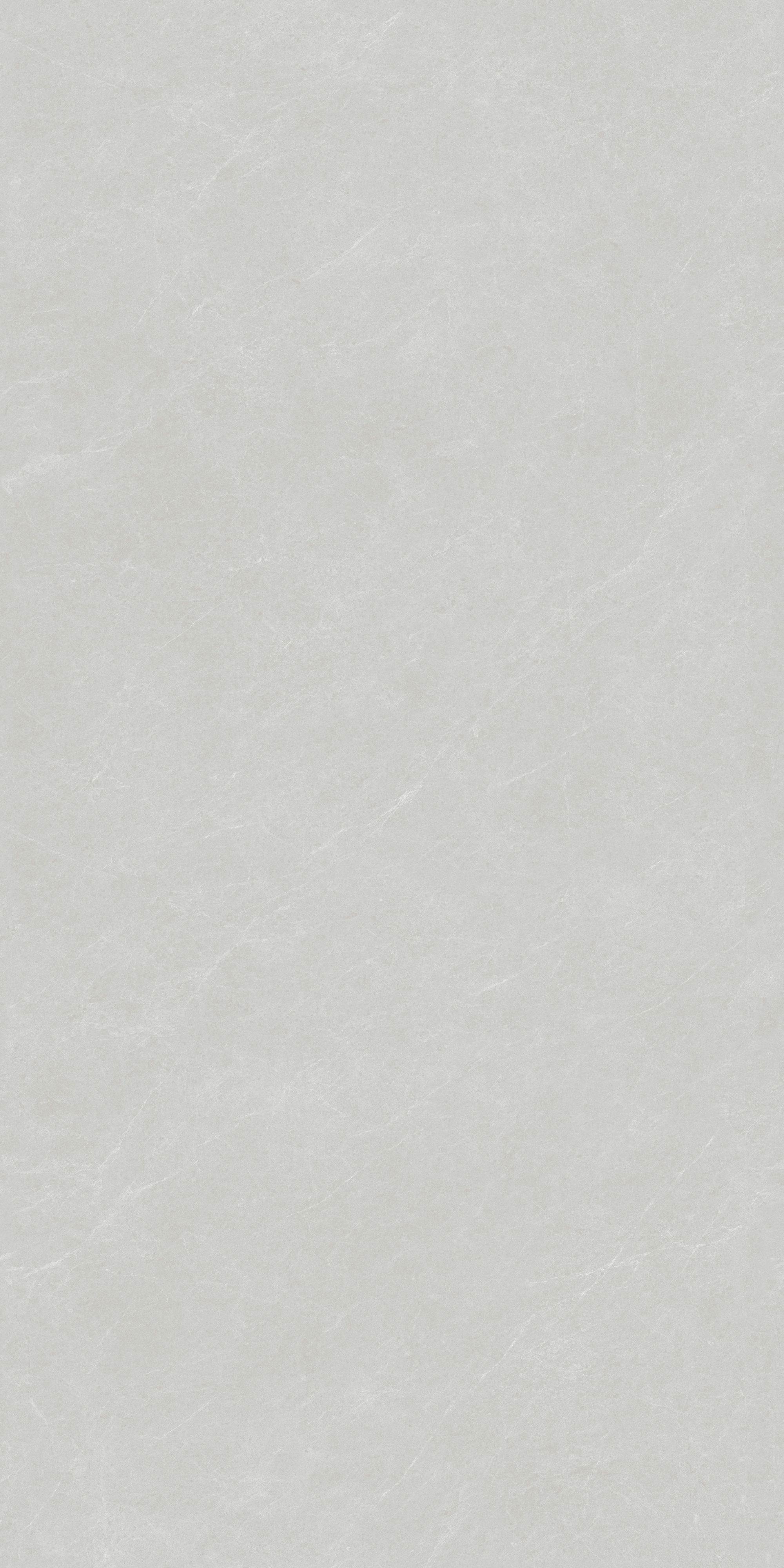 RT61203 丹迪淺灰