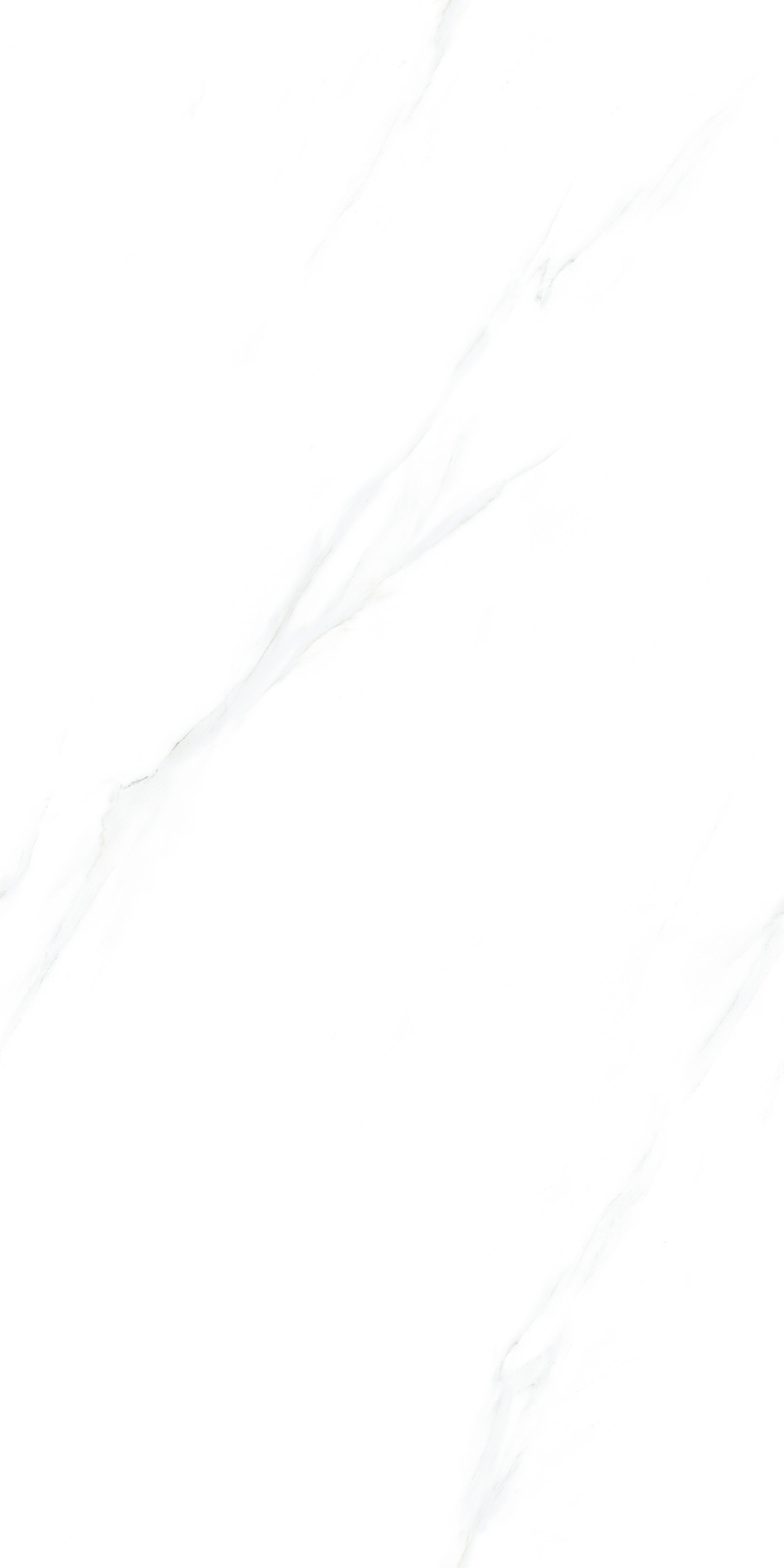 RT612014 托斯卡納白