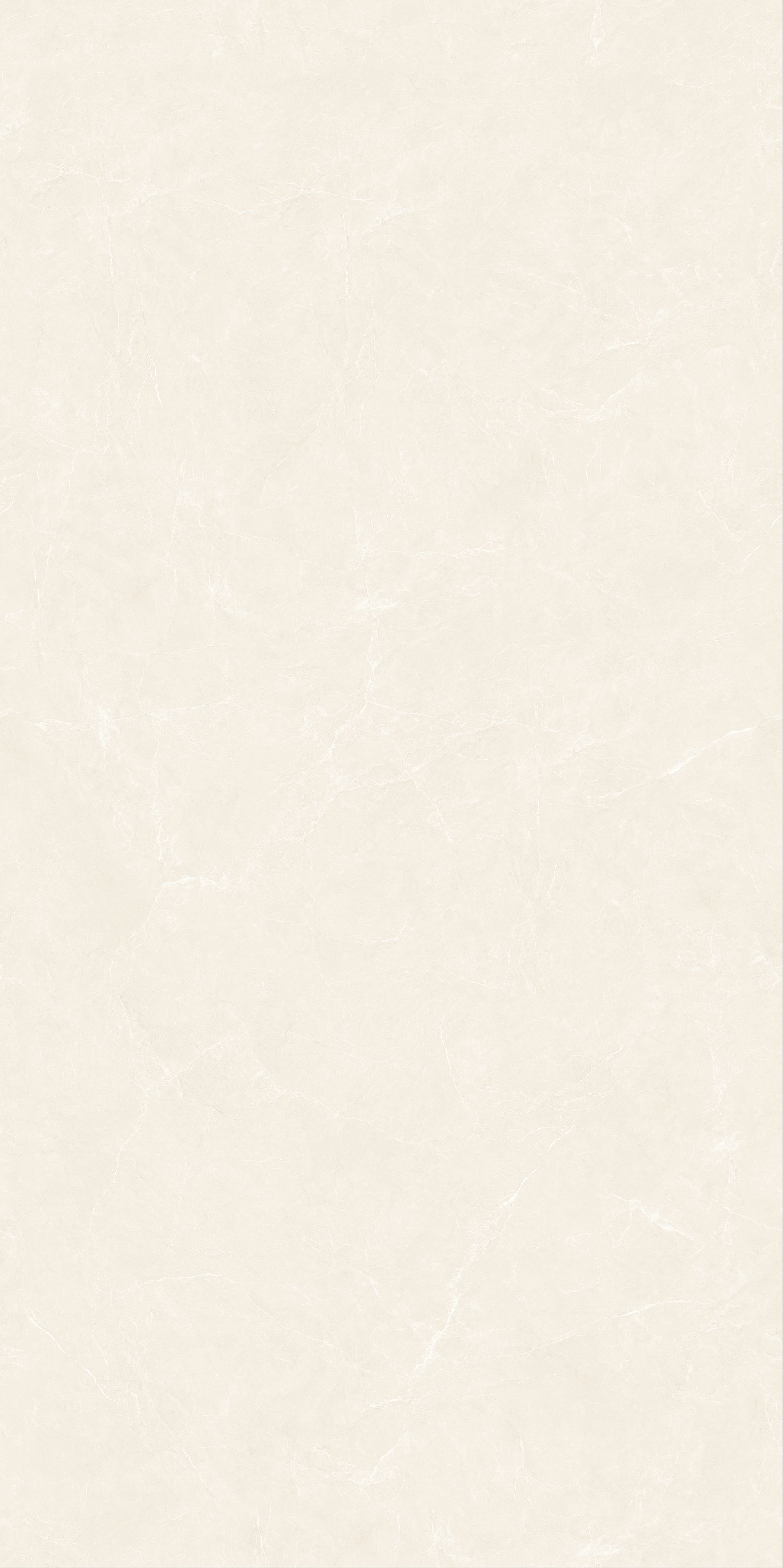 RT715018 但丁米黃